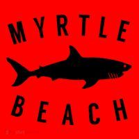 Myrtle Beach South Carolina Santa Hat thumb 1