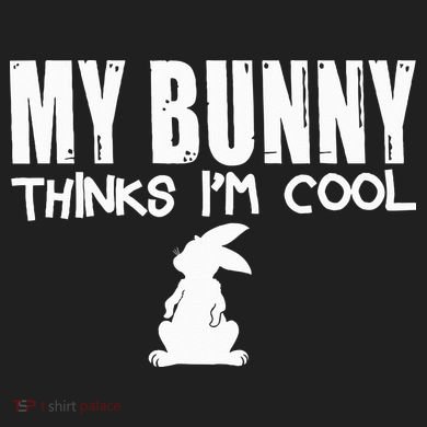My Bunny Thinks IM Cool Rabbit 24oz Duet Stainless Steel Tumbler