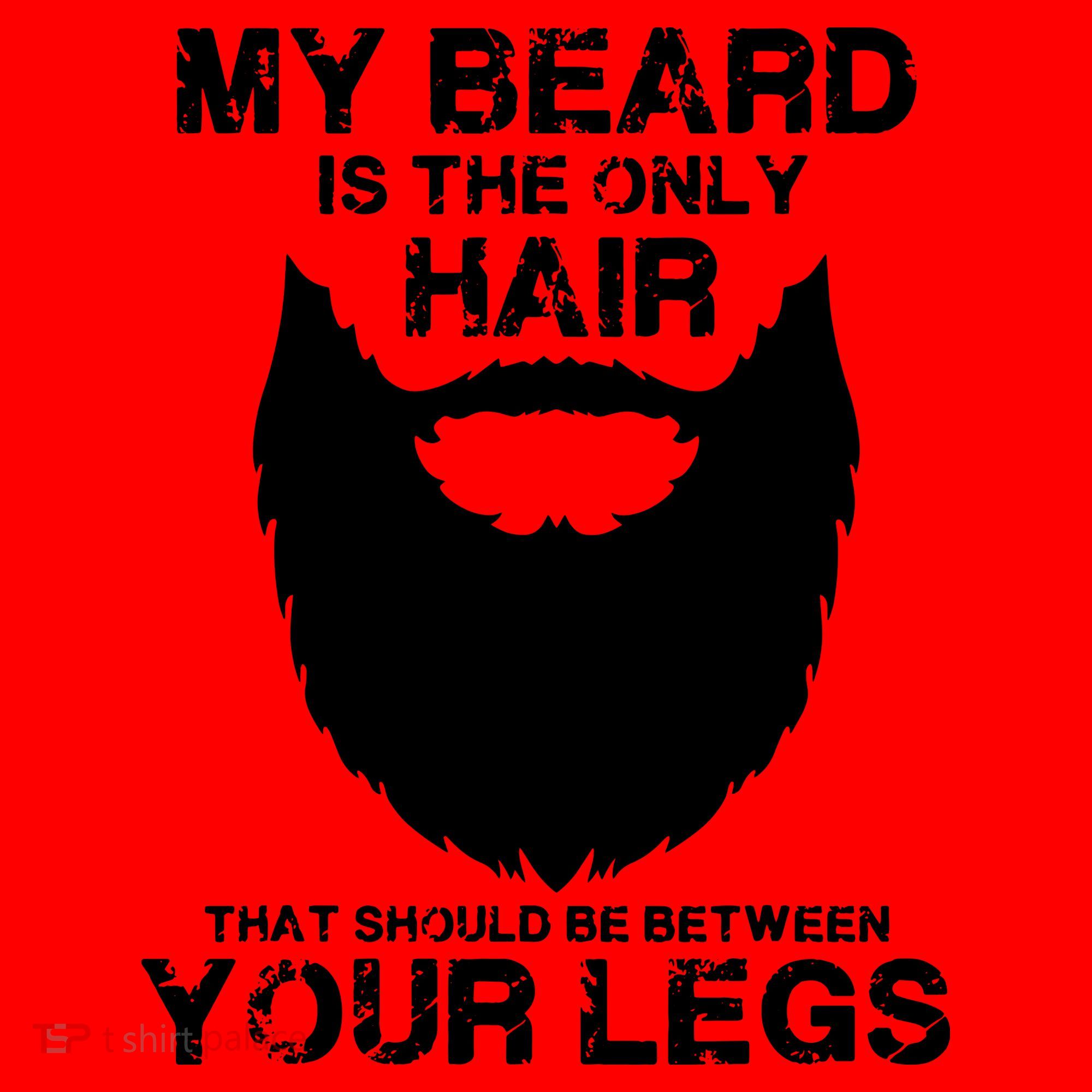 My Beard The Only Hair That Should Be Between YourLegs Santa Hat