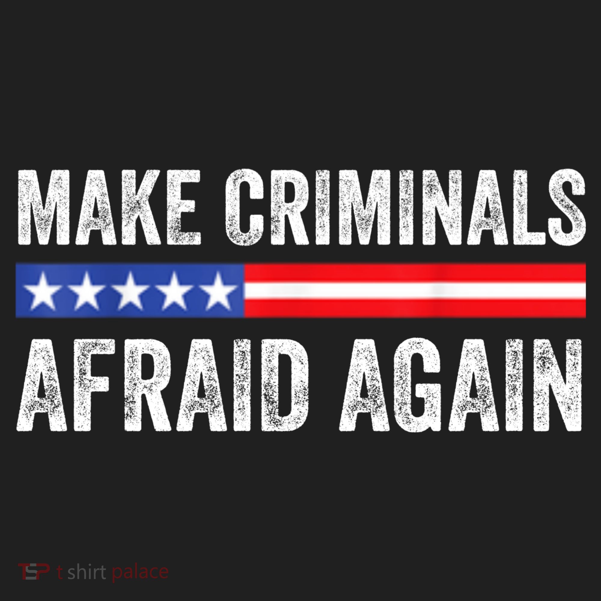 Make Criminals Afraid Again USA Rights Sarcastic US Flag Beanie