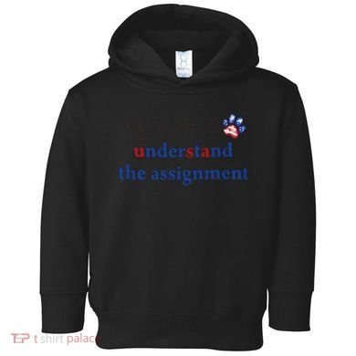 My Cat And I Understand The Assignment Toddler Hoodie