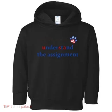 My Cat And I Understand The Assignment Toddler Hoodie