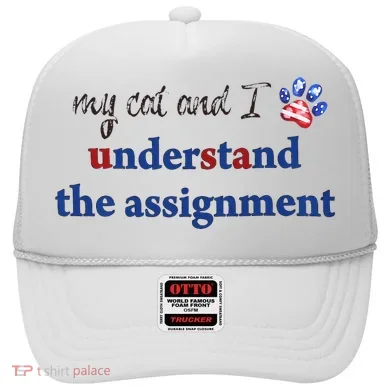 My Cat And I Understand The Assignment Hat