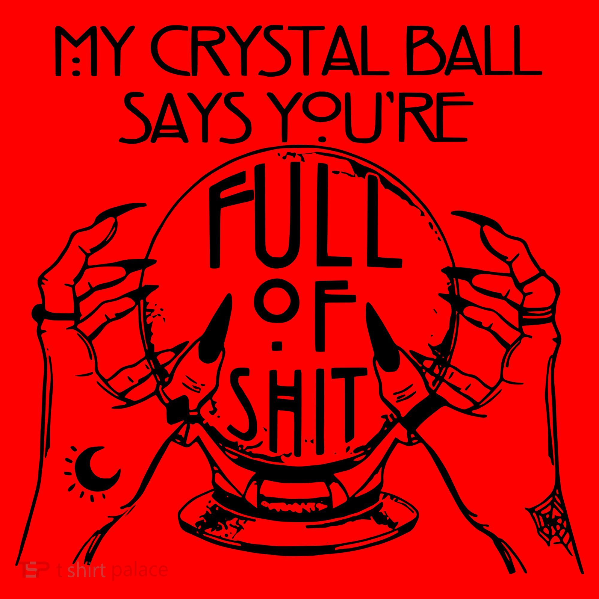 My Crystal Ball Says You're Full Of Shit Wizard Witch Fortune Teller Santa Hat