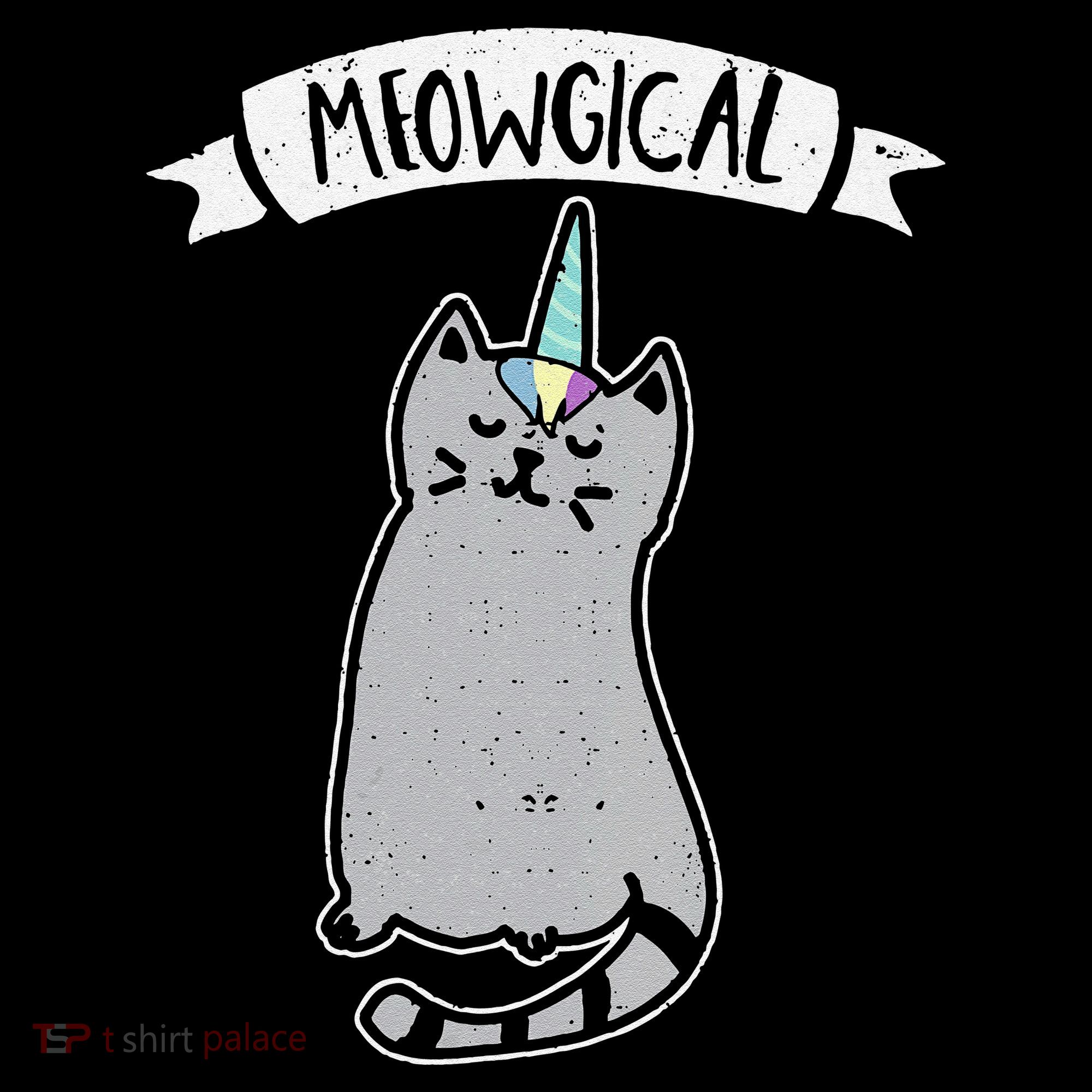 Meowgical Caticorn Cat Unicorn Magical Creature Gift Women's Hoodie