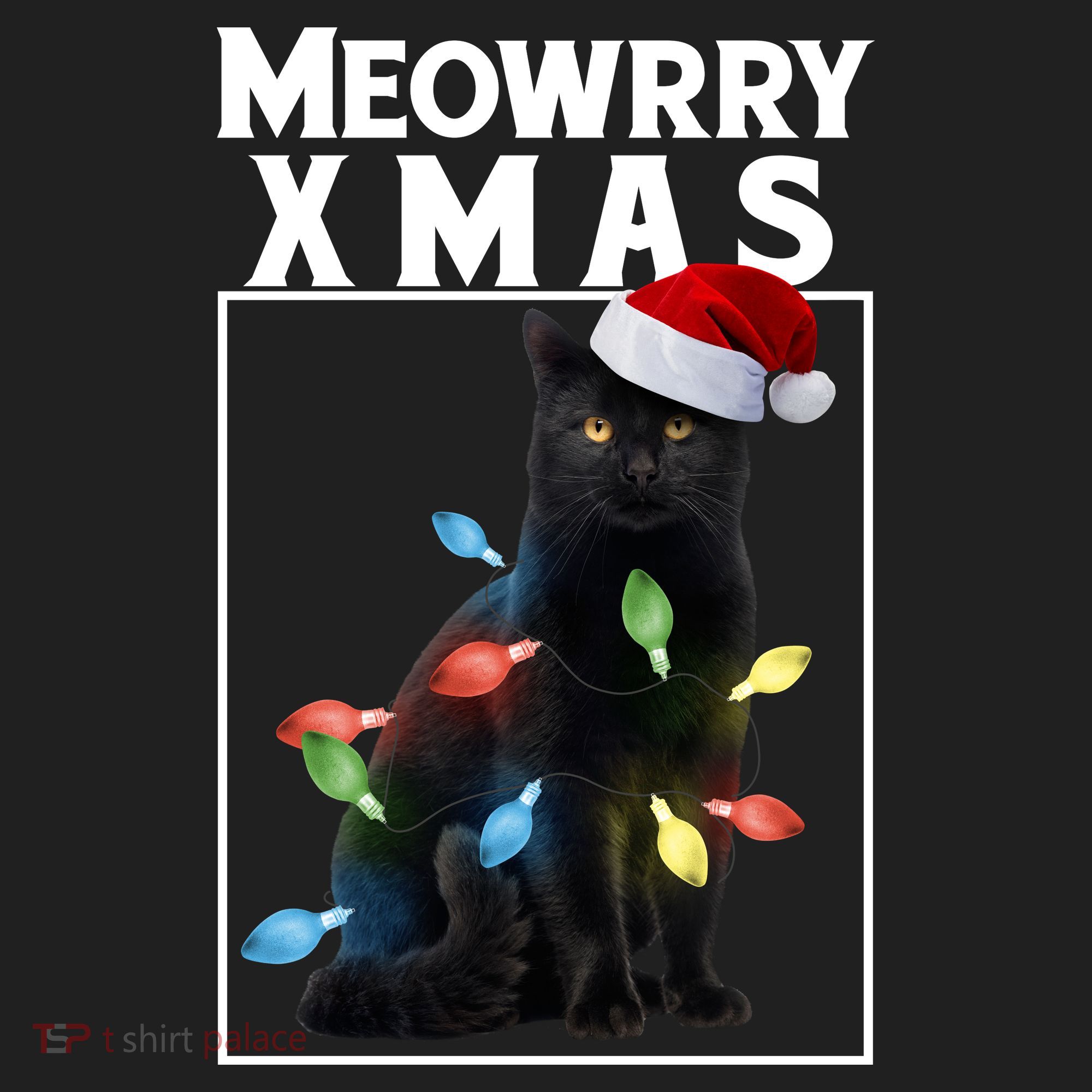 Meowy Christmas Cat With Lights And Santa Hat Beanie