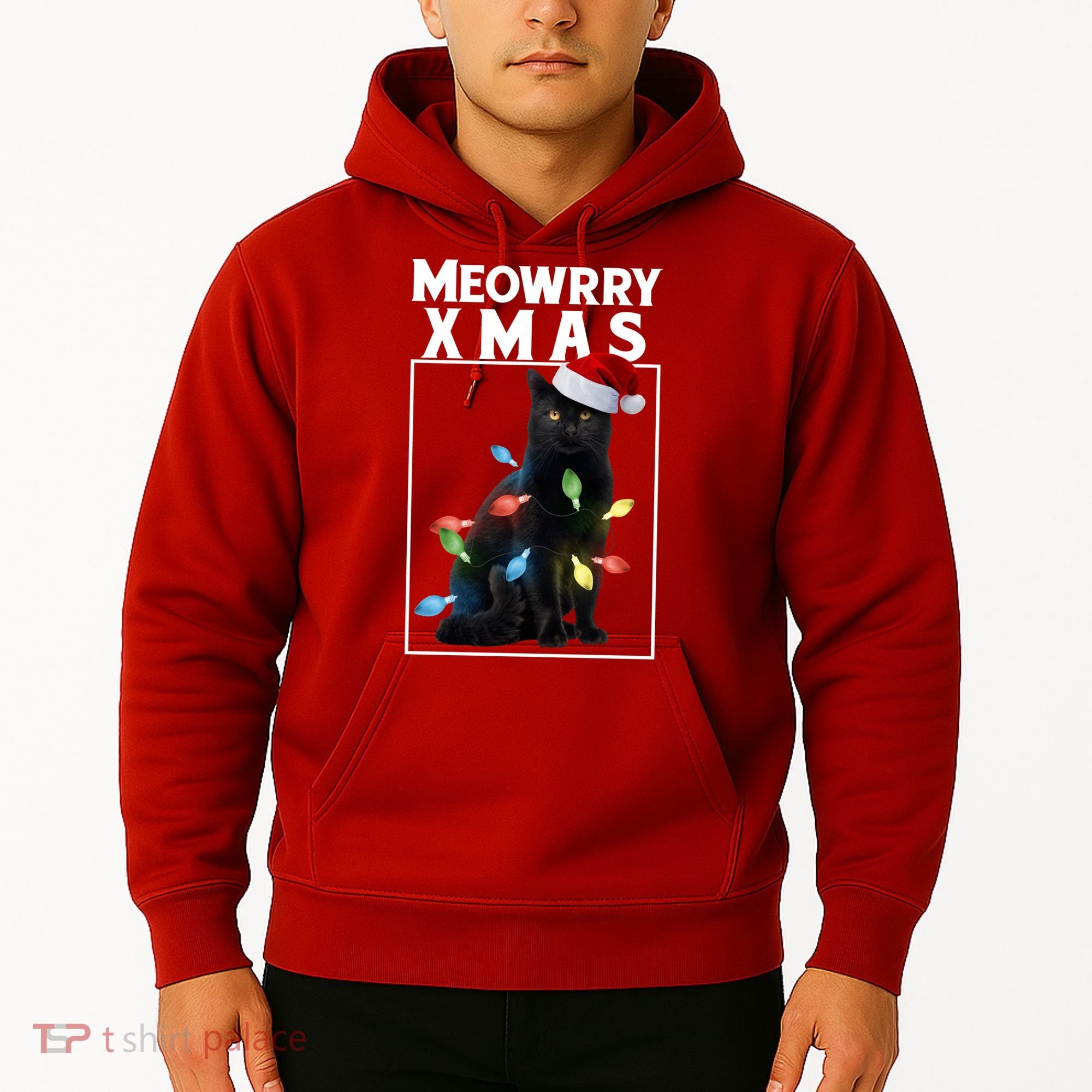 Meowy Christmas Cat With Lights And Santa Hat Hoodie