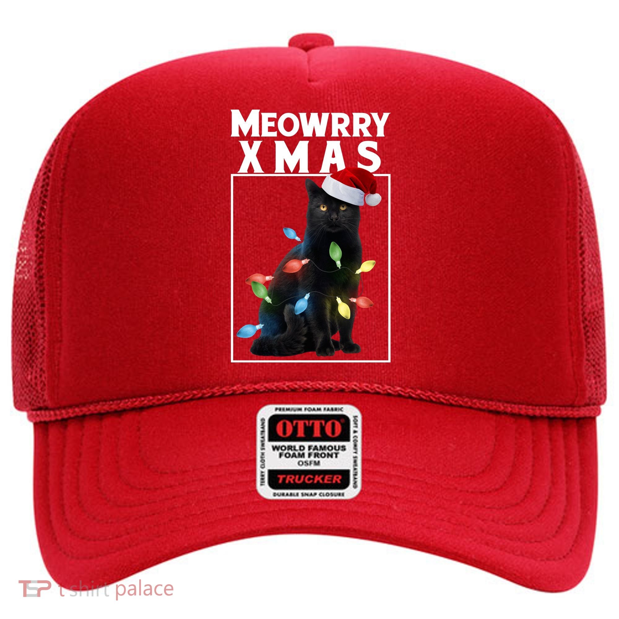 Meowy Christmas Cat With Lights And Santa Hat Hat