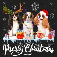 Merry Christmas Cavalier King Charles Spaniel Santa Light Gift Women's Sweatshirt thumb 2