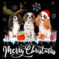 Merry Christmas Cavalier King Charles Spaniel Santa Light Gift Women's Hoodie thumb 2