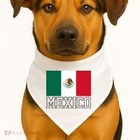 Mexico Country Flag Mexican Fan USA-Made Doggie Bandana thumb 1