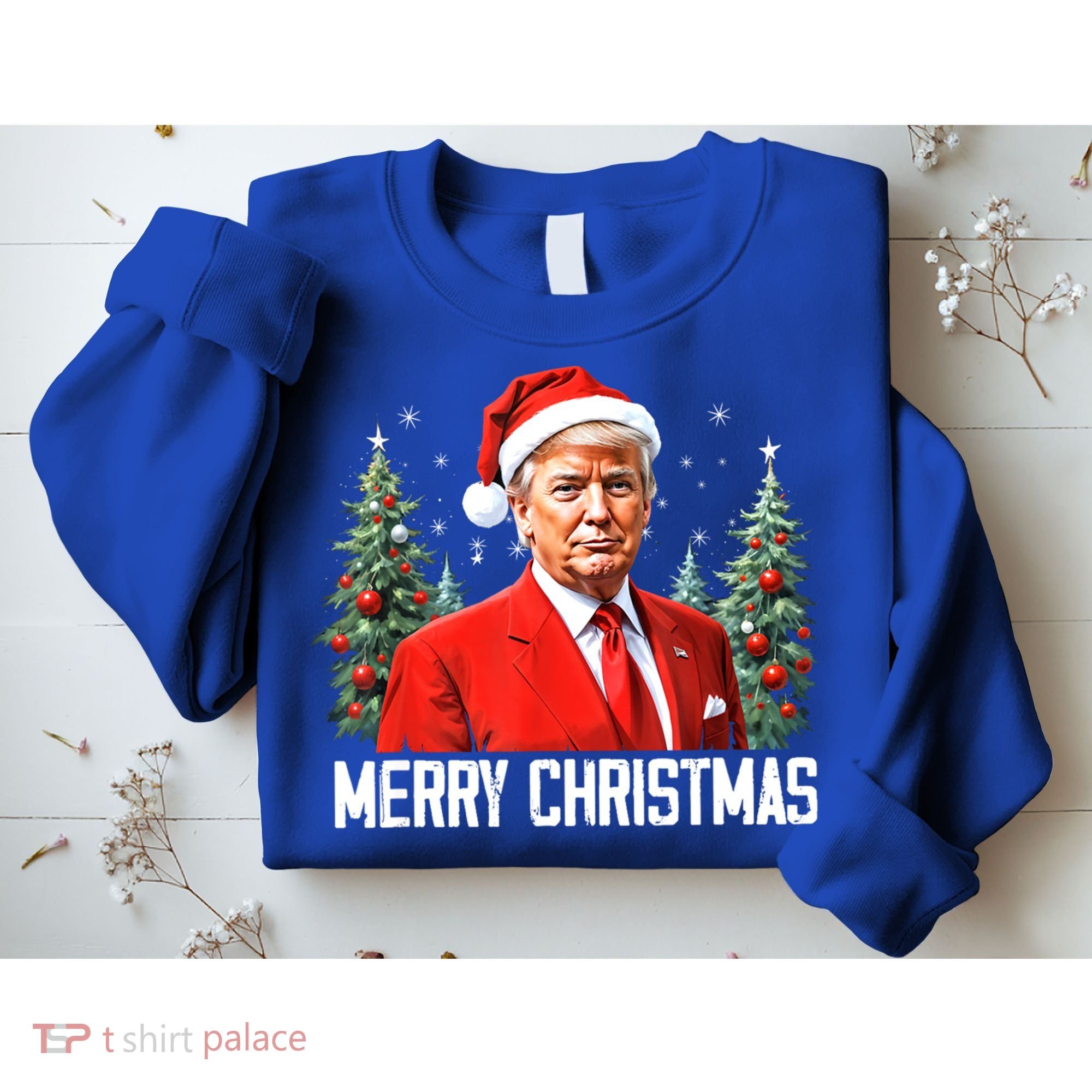 Merry Christmas Funny Santa Trump 2024 Xmas Gift Sweatshirt