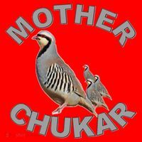 Mother Chukar Funny Upland Game Hunting Great Gift Cool Gift Santa Hat thumb 1