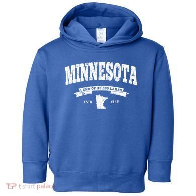 Minnesota Cute Gift Vintage Minnesota Gift Retro Mn Toddler Hoodie