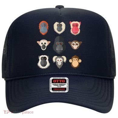 Monkey Chimpanzee Gorilla Spider Monkey Squirrel Monkey Hat