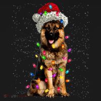 Merry Christmas German Shepherd Santa Hat Lights Xmas Coaster thumb 2