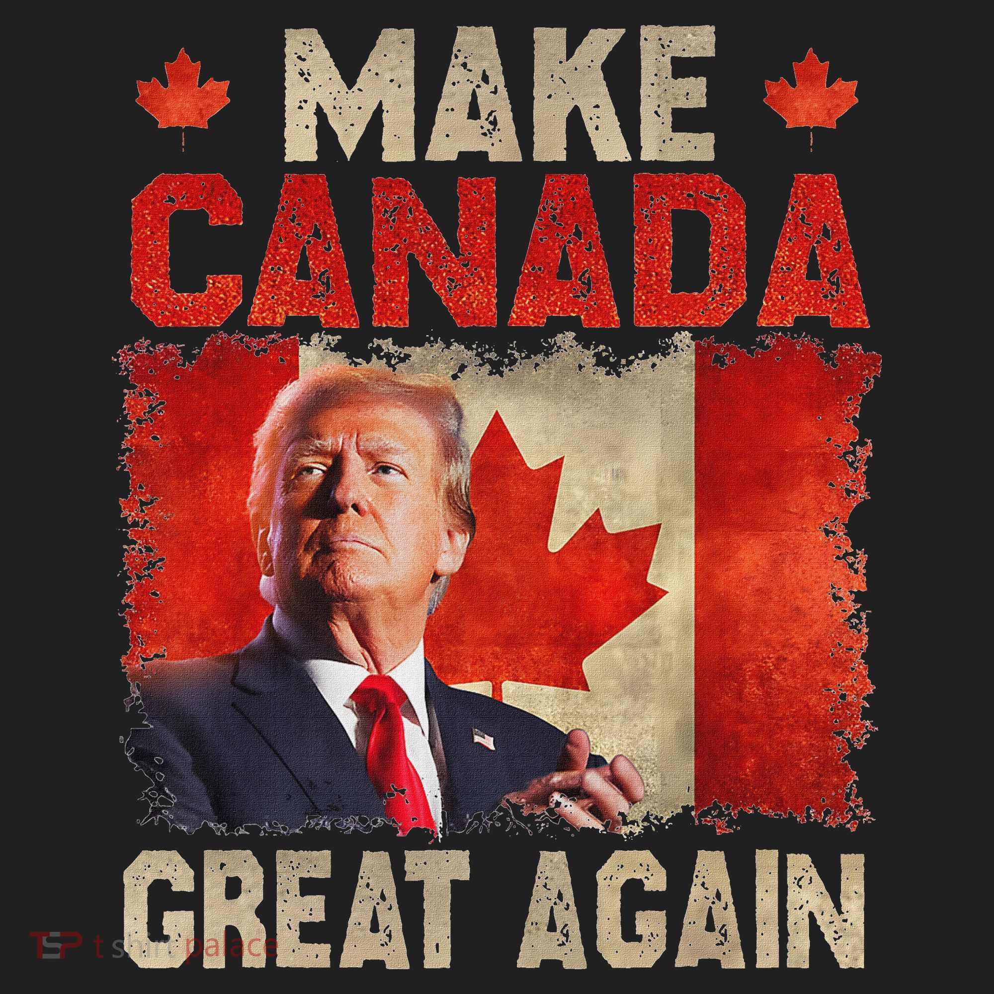 Make Canada Great Again Funny Trump President 2024 Hat