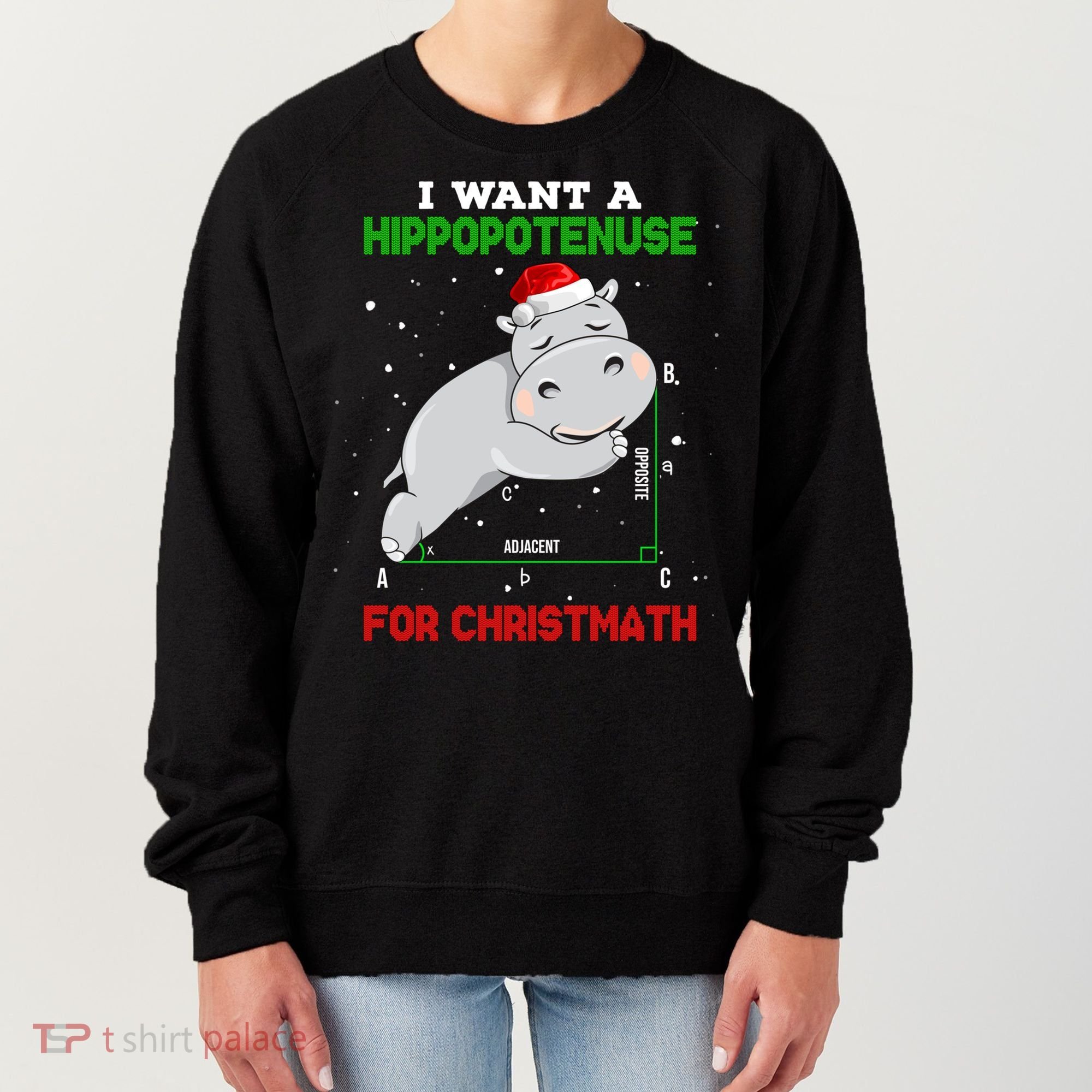 Math Christmas Hippo I Want A Hippopotenuse For Christmath Meaningful Gift Women's Sweatshirt
