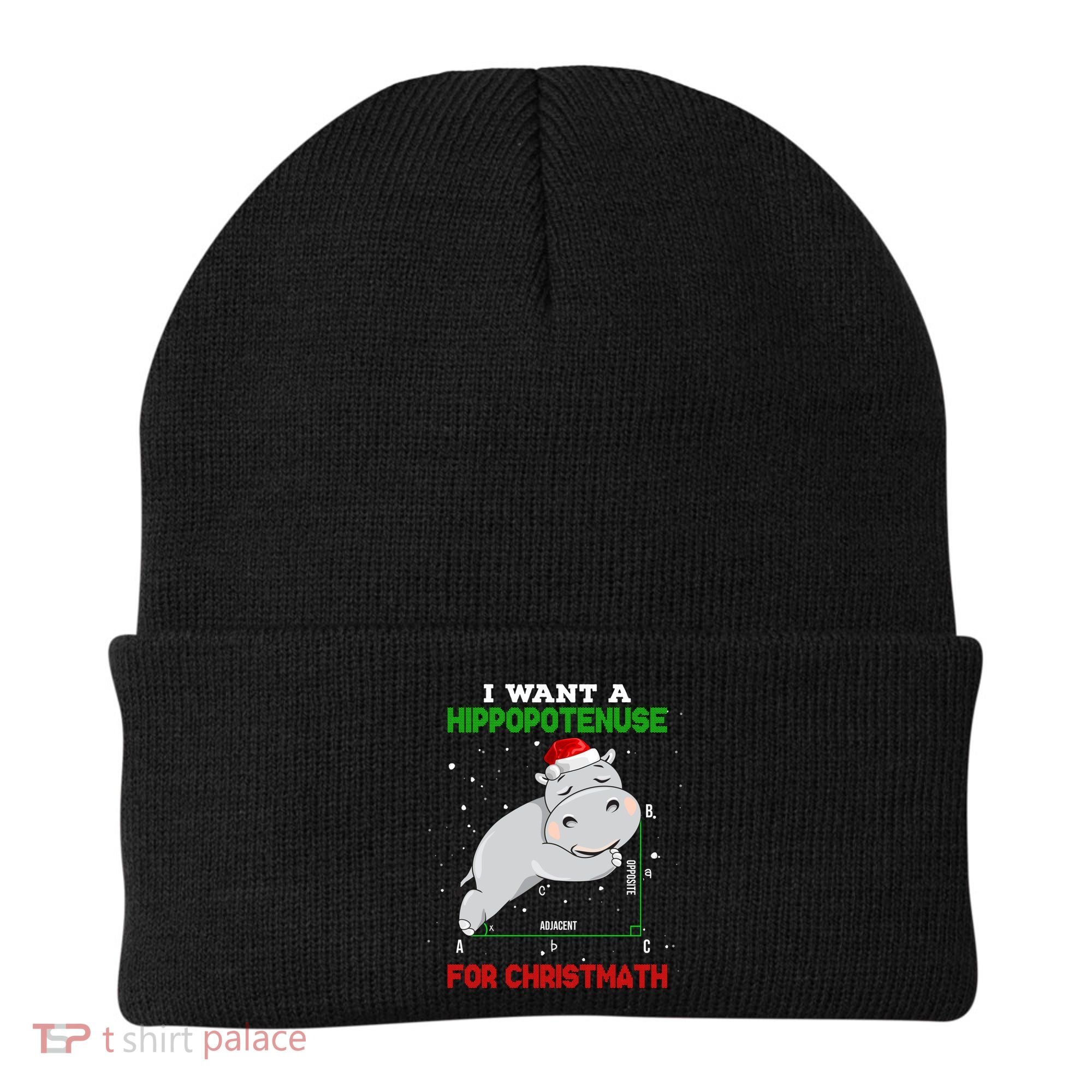Math Christmas Hippo I Want A Hippopotenuse For Christmath Meaningful Gift Beanie