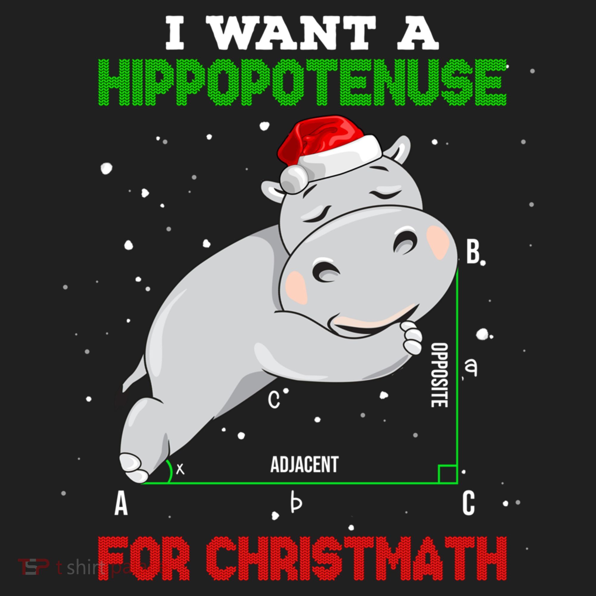 Math Christmas Hippo I Want A Hippopotenuse For Christmath Meaningful Gift Beanie