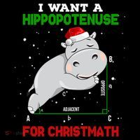 Math Christmas Hippo I Want A Hippopotenuse For Christmath Meaningful Gift Women's Hoodie thumb 2