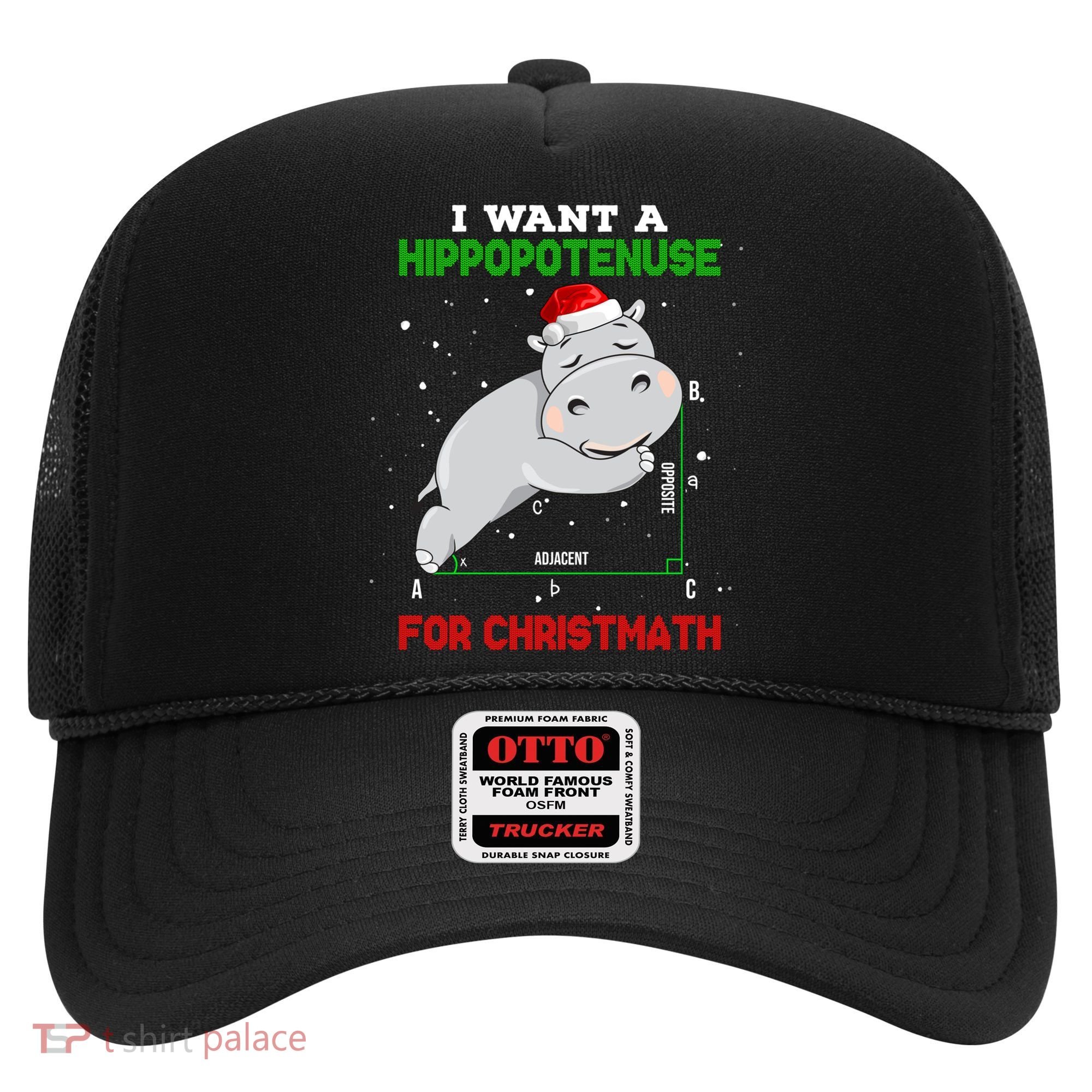 Math Christmas Hippo I Want A Hippopotenuse For Christmath Meaningful Gift Hat
