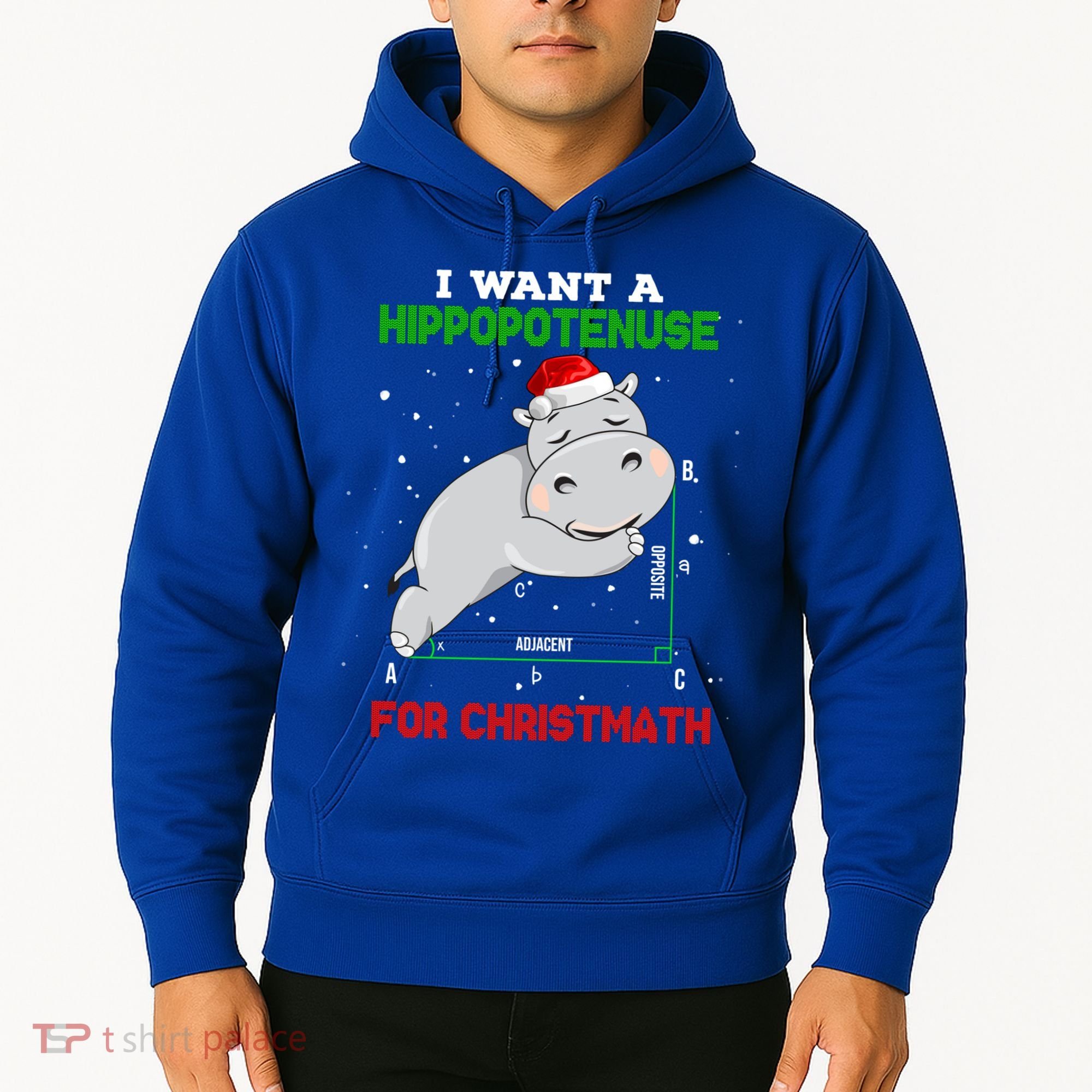 Math Christmas Hippo I Want A Hippopotenuse For Christmath Meaningful Gift Hoodie