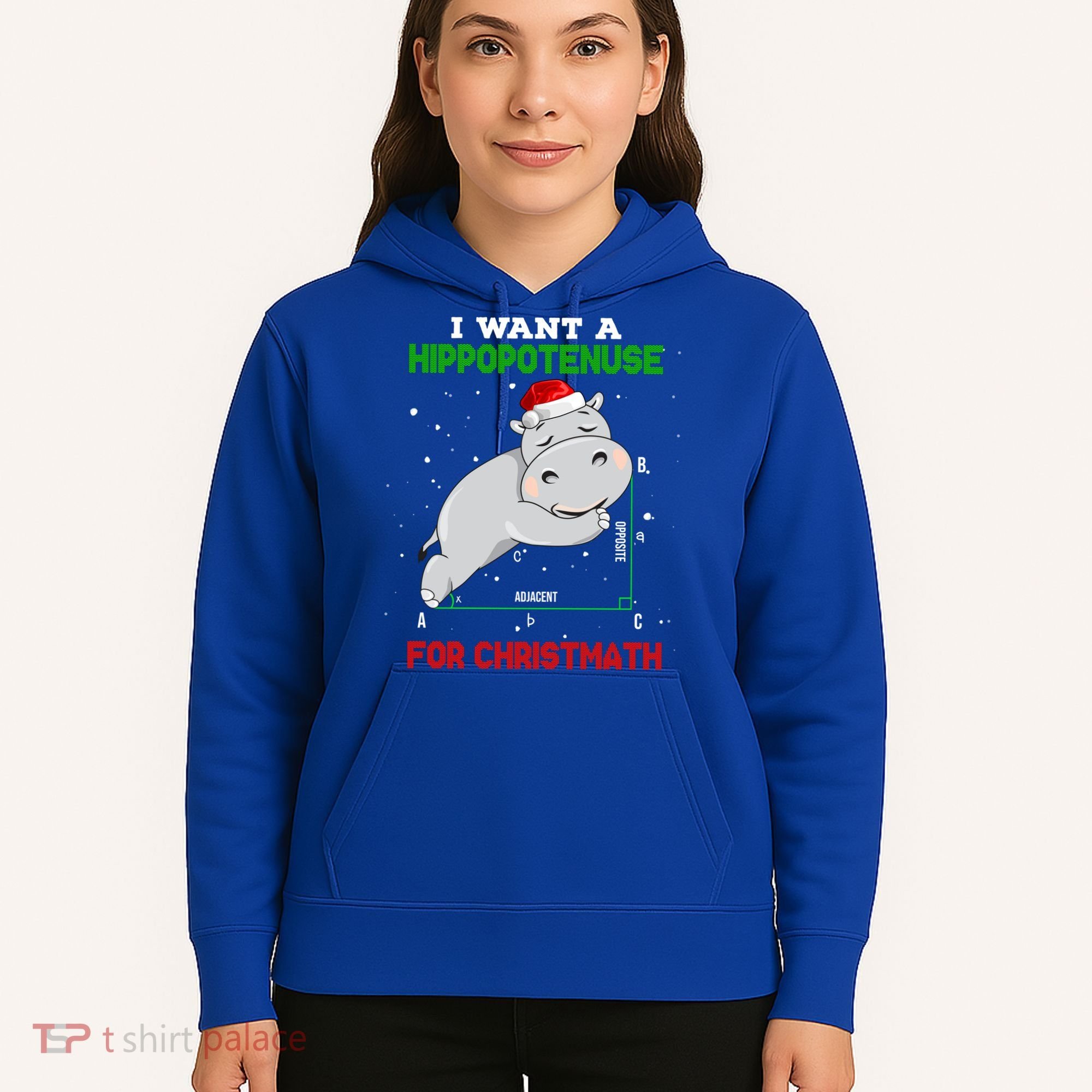 Math Christmas Hippo I Want A Hippopotenuse For Christmath Meaningful Gift Hoodie