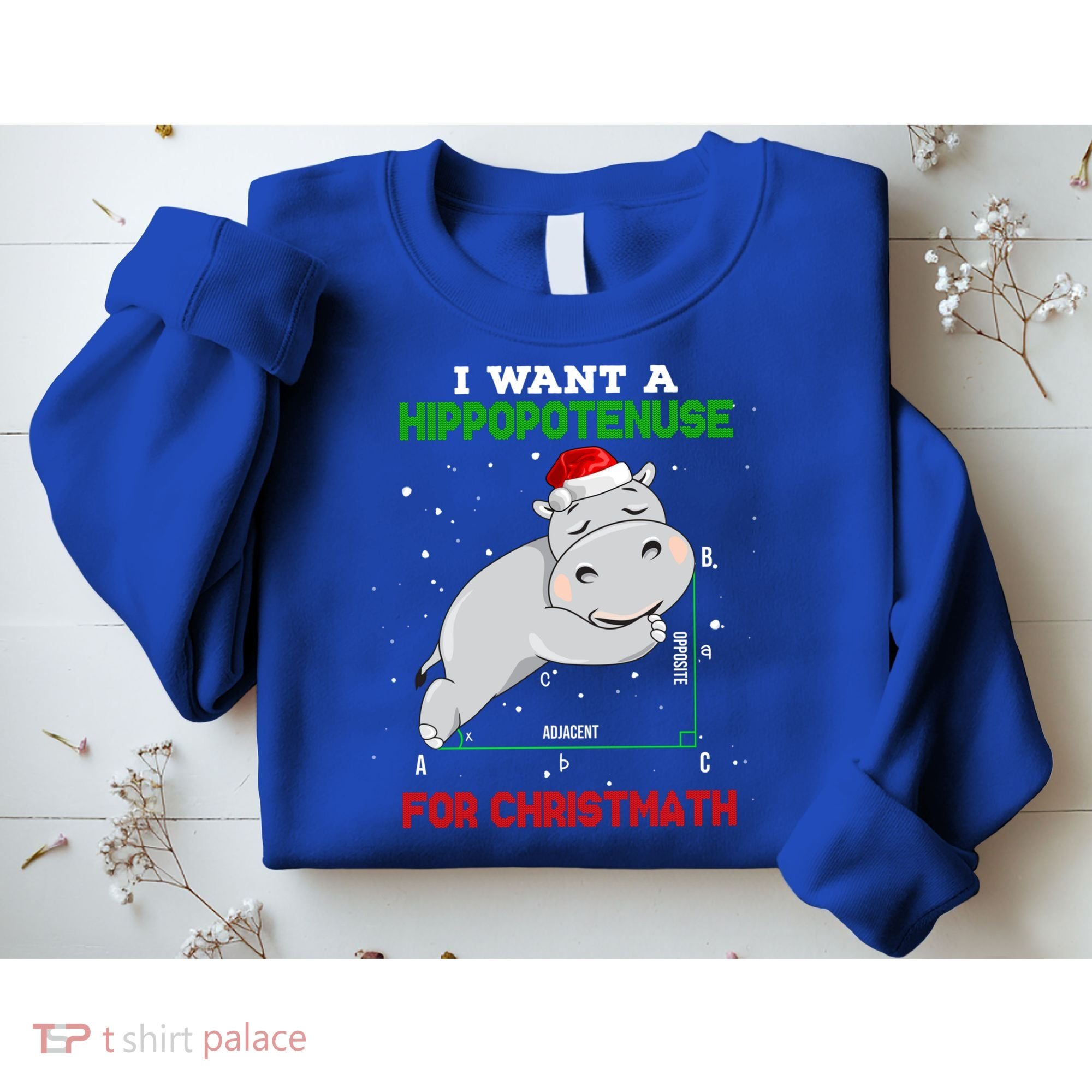 Math Christmas Hippo I Want A Hippopotenuse For Christmath Meaningful Gift Sweatshirt