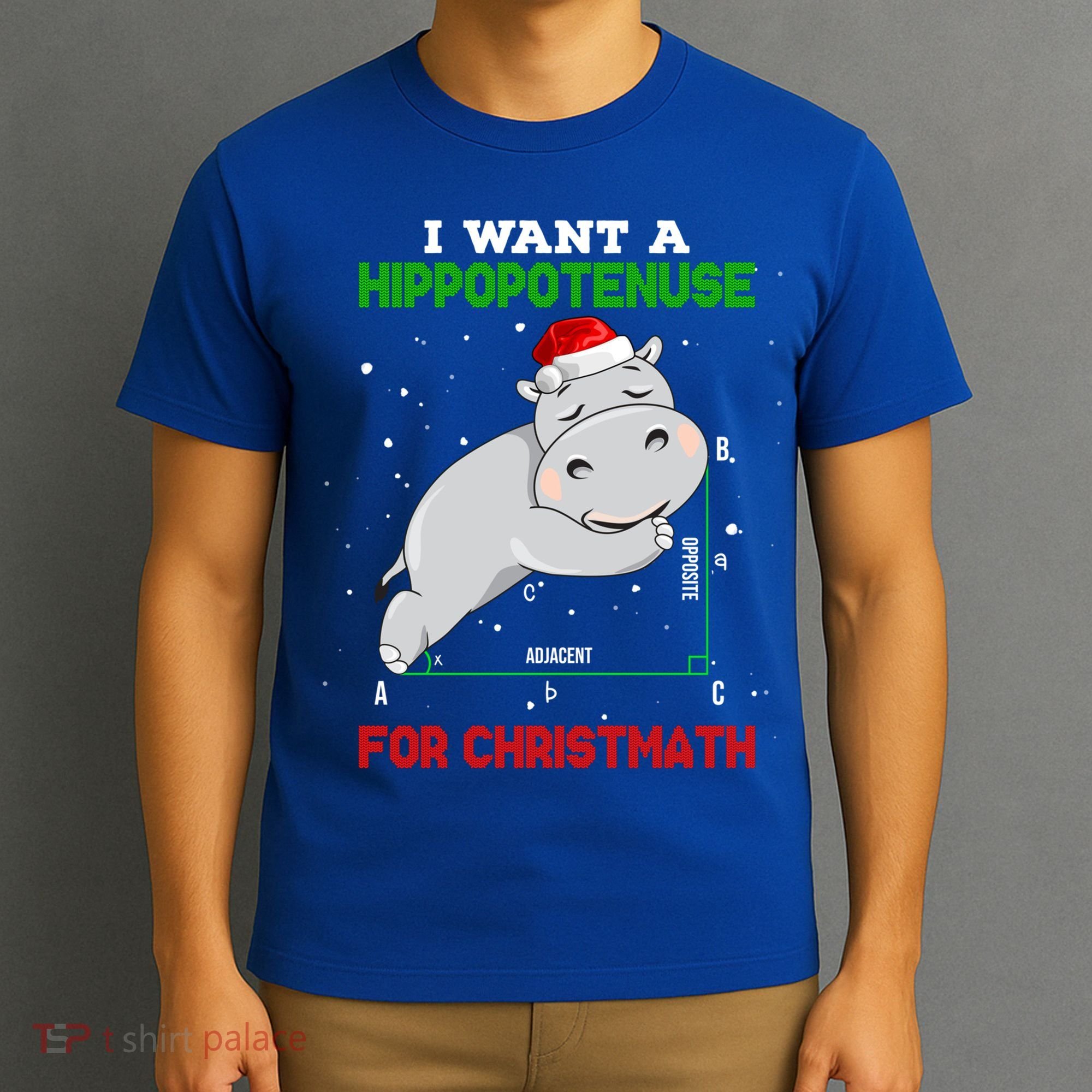 Math Christmas Hippo I Want A Hippopotenuse For Christmath Meaningful Gift T-Shirt