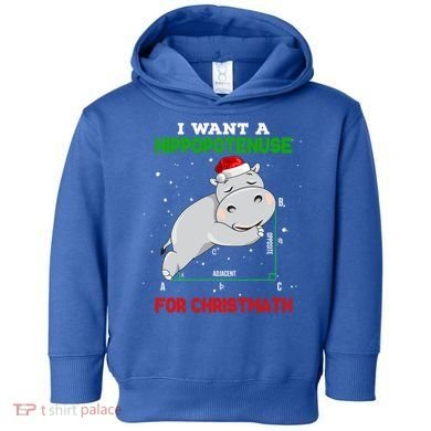 Math Christmas Hippo I Want A Hippopotenuse For Christmath Meaningful Gift Toddler Hoodie