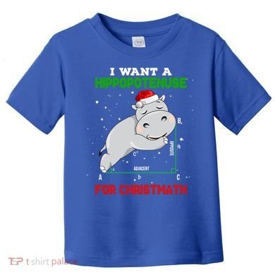 Math Christmas Hippo I Want A Hippopotenuse For Christmath Meaningful Gift Toddler T-Shirt