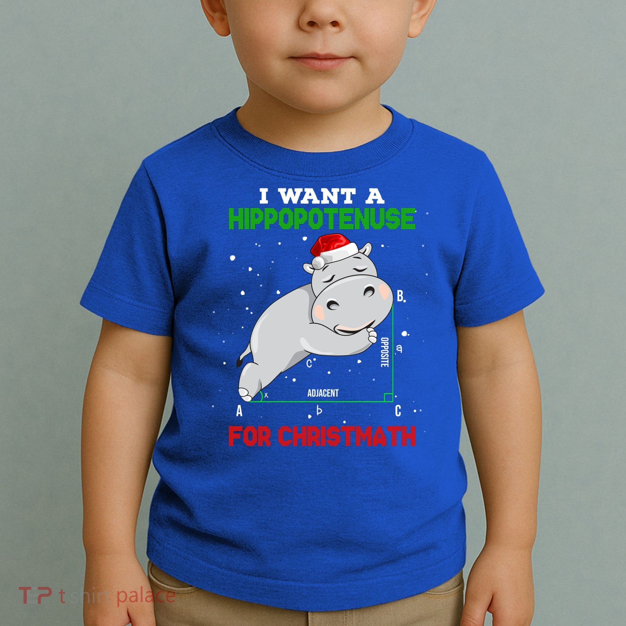 Math Christmas Hippo I Want A Hippopotenuse For Christmath Meaningful Gift Toddler T-Shirt