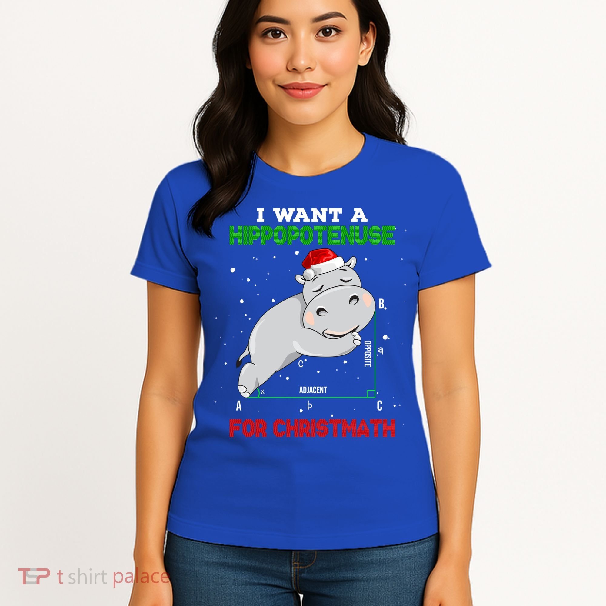 Math Christmas Hippo I Want A Hippopotenuse For Christmath Meaningful Gift Women's T-Shirt