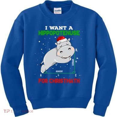 Math Christmas Hippo I Want A Hippopotenuse For Christmath Meaningful Gift Kids Sweatshirt