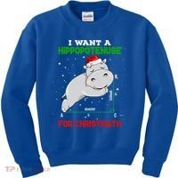 Math Christmas Hippo I Want A Hippopotenuse For Christmath Meaningful Gift Kids Sweatshirt thumb 0