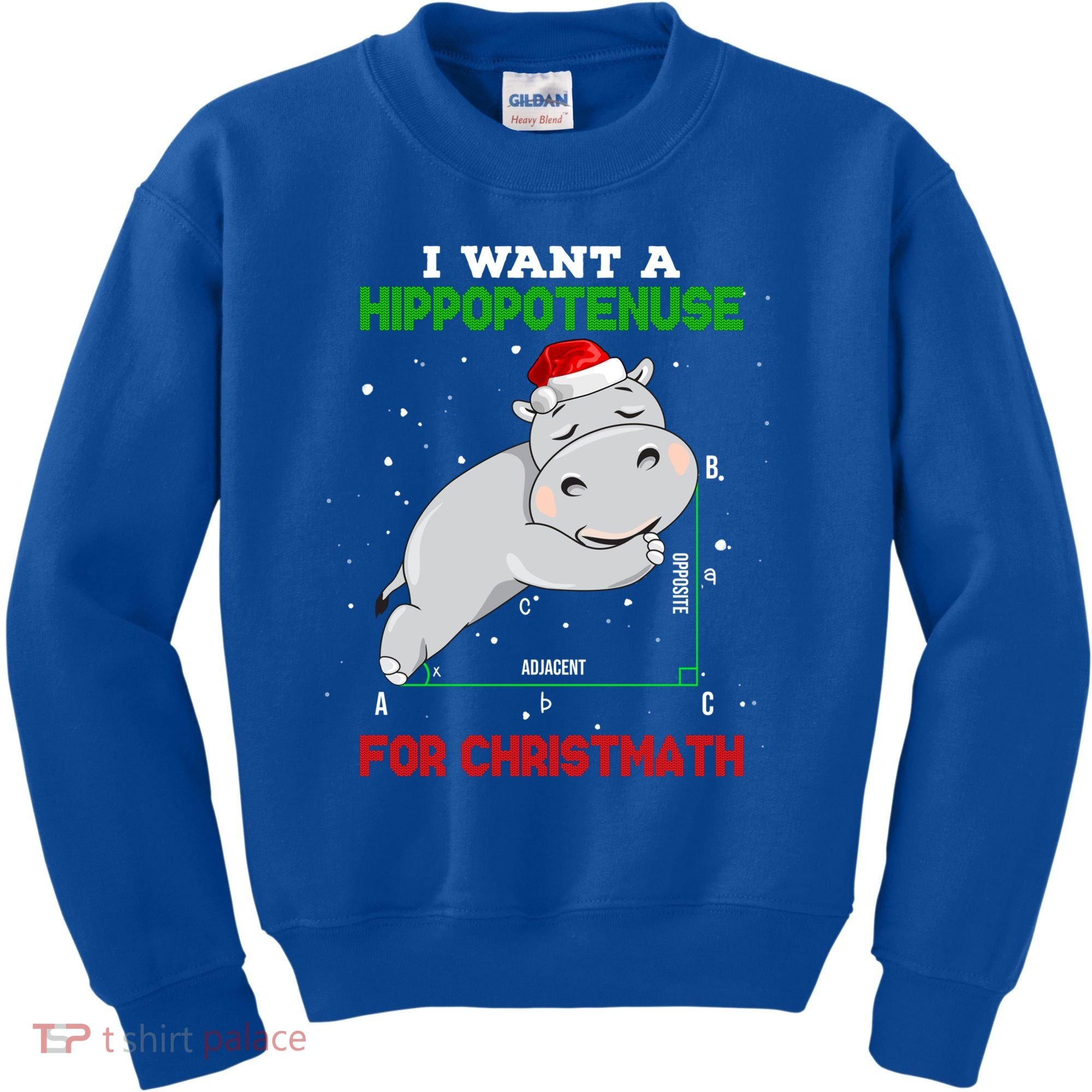 Math Christmas Hippo I Want A Hippopotenuse For Christmath Meaningful Gift Kids Sweatshirt