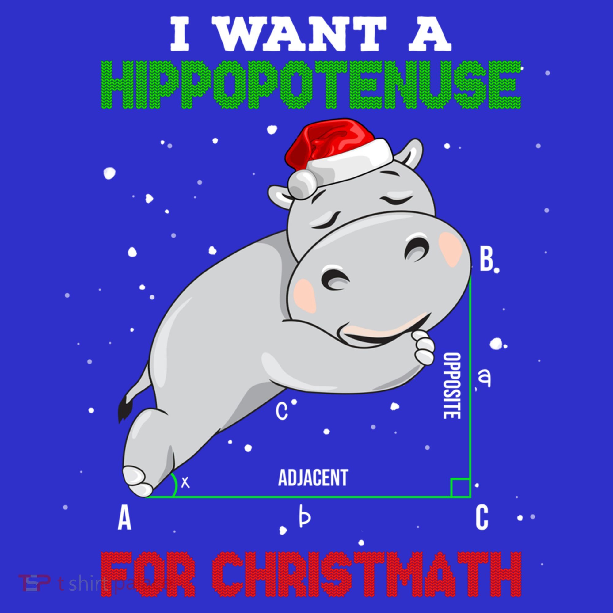 Math Christmas Hippo I Want A Hippopotenuse For Christmath Meaningful Gift Kids Sweatshirt