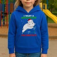 Math Christmas Hippo I Want A Hippopotenuse For Christmath Meaningful Gift Kids Hoodie thumb 3