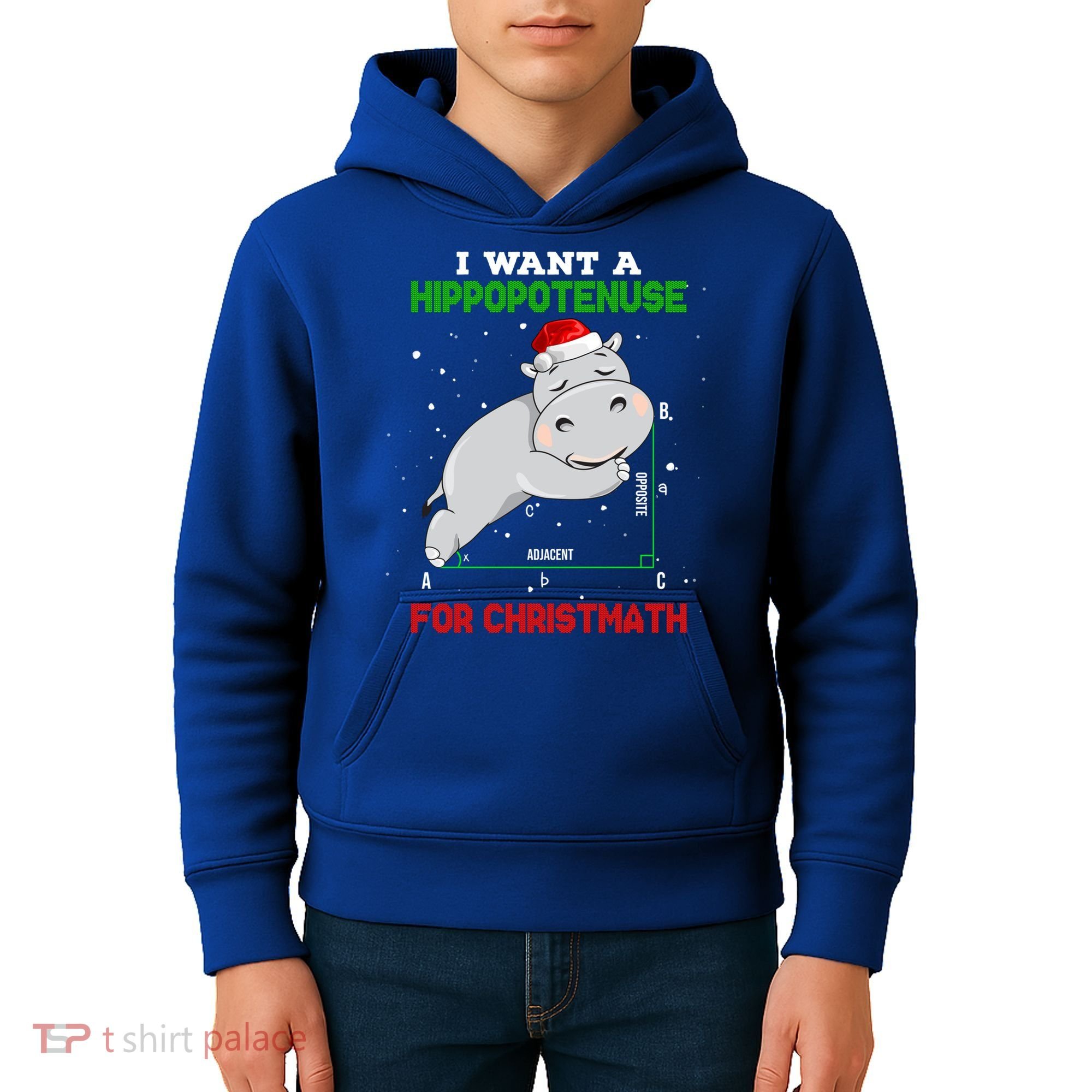 Math Christmas Hippo I Want A Hippopotenuse For Christmath Meaningful Gift Kids Hoodie