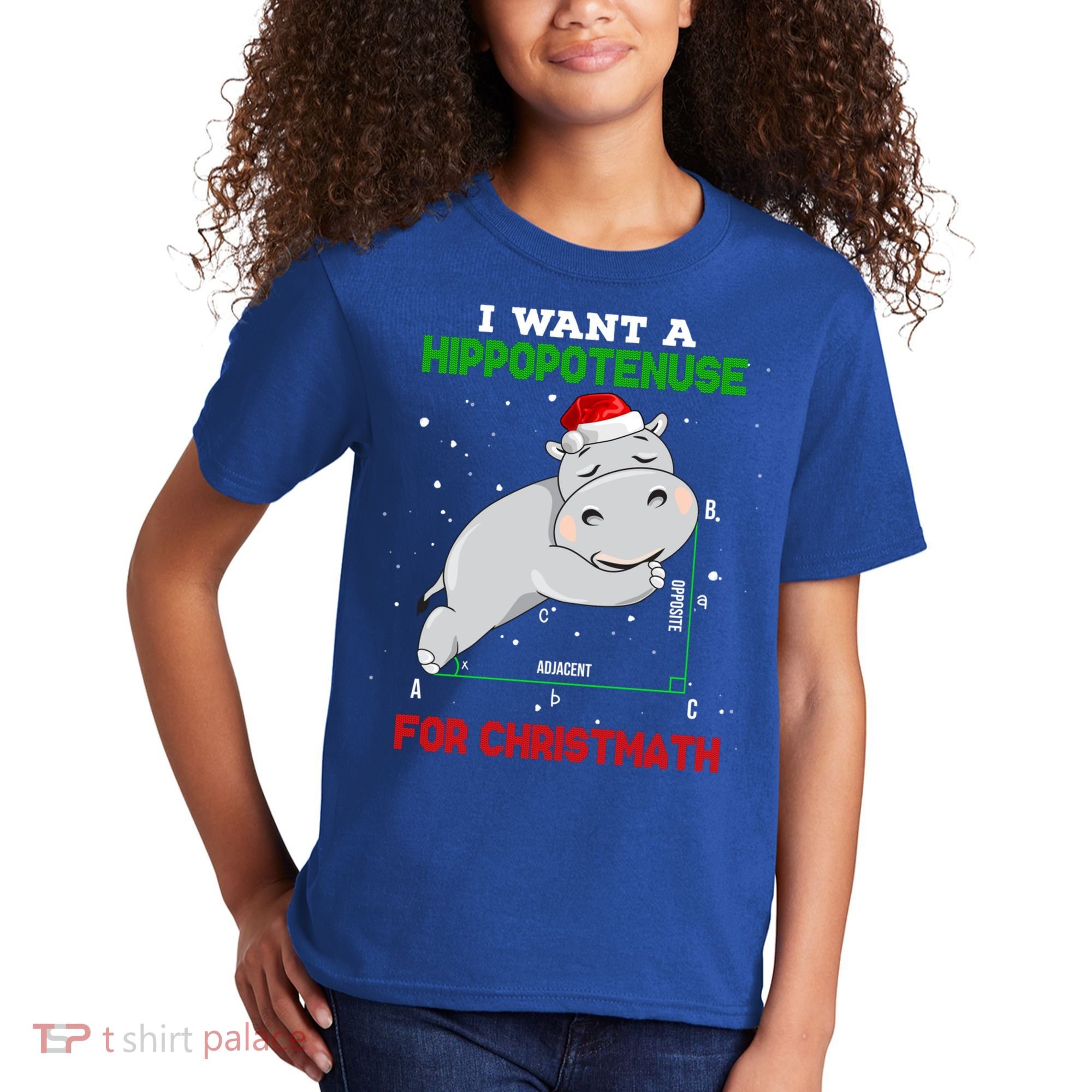 Math Christmas Hippo I Want A Hippopotenuse For Christmath Meaningful Gift Kids T-Shirt