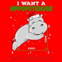 Math Christmas Hippo I Want A Hippopotenuse For Christmath Meaningful Gift Santa Hat thumb 1