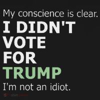 My Conscience Is Clear I DidnT Vote For Trump Visor thumb 3
