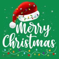 Merry Christmas Lights Red Santa Hat Xmas Family Women's T-Shirt thumb 6