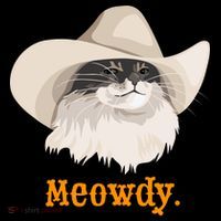 Meowdy Cat Meme Ornament thumb 1