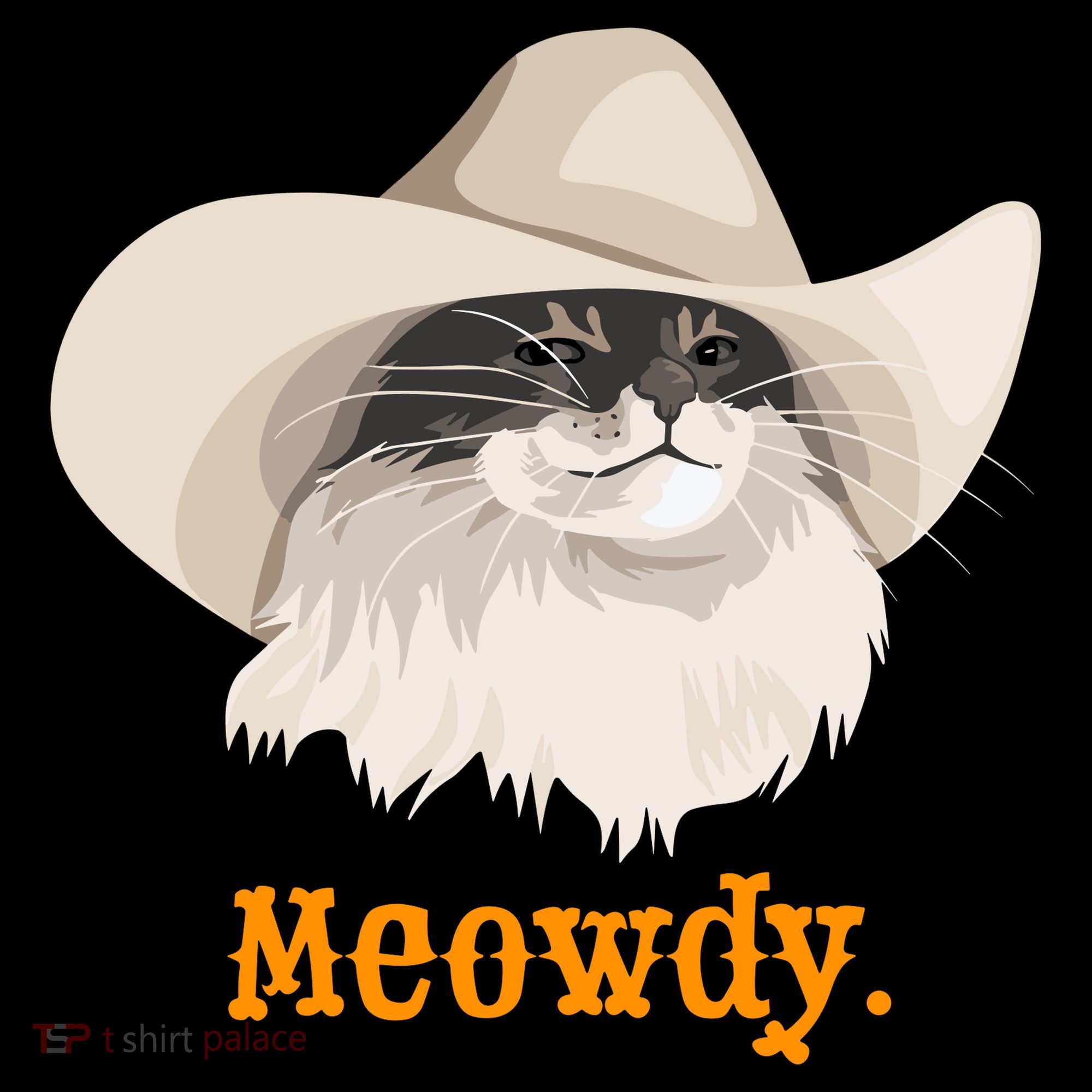 Meowdy Cat Meme Toddler Hoodie