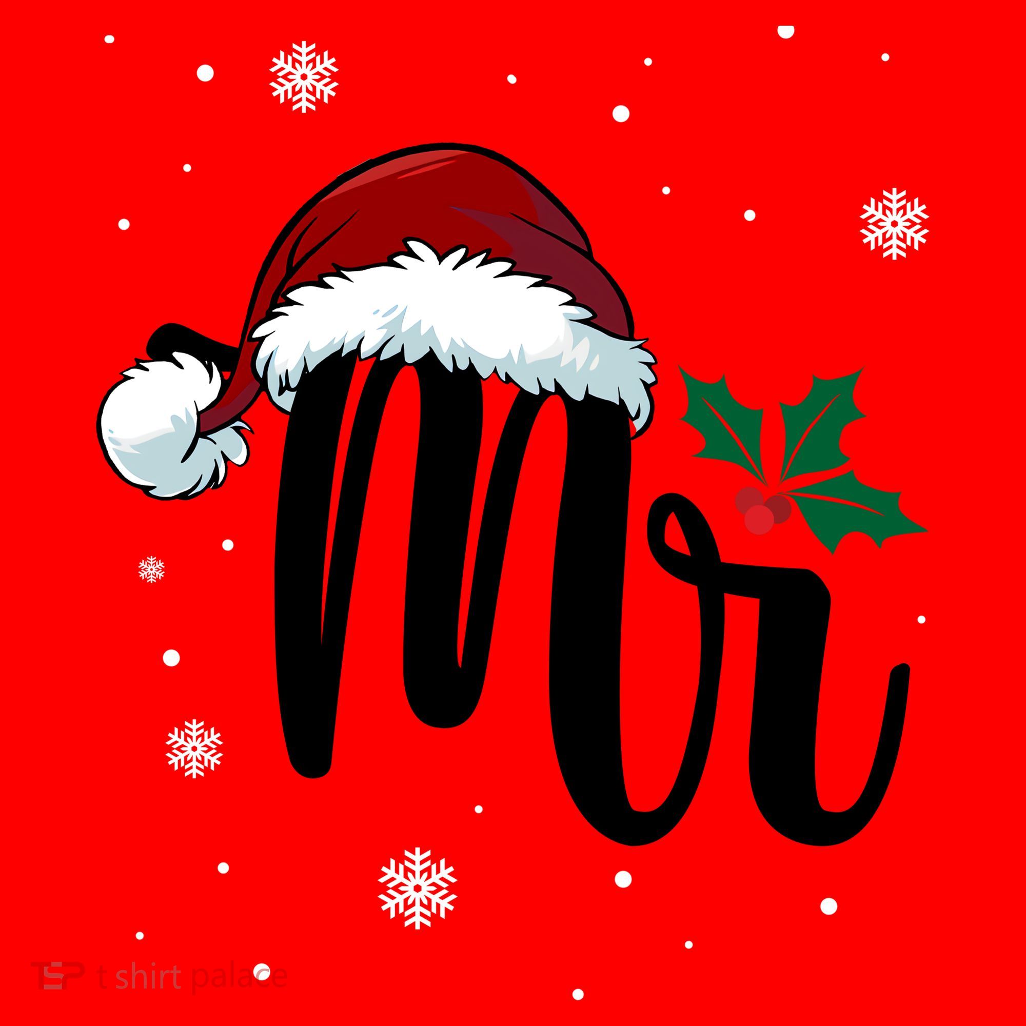 Mr. Claus Matching Family Christmas Santa Hat