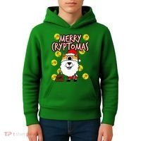 Merry Cryptomas Kids Hoodie thumb 4