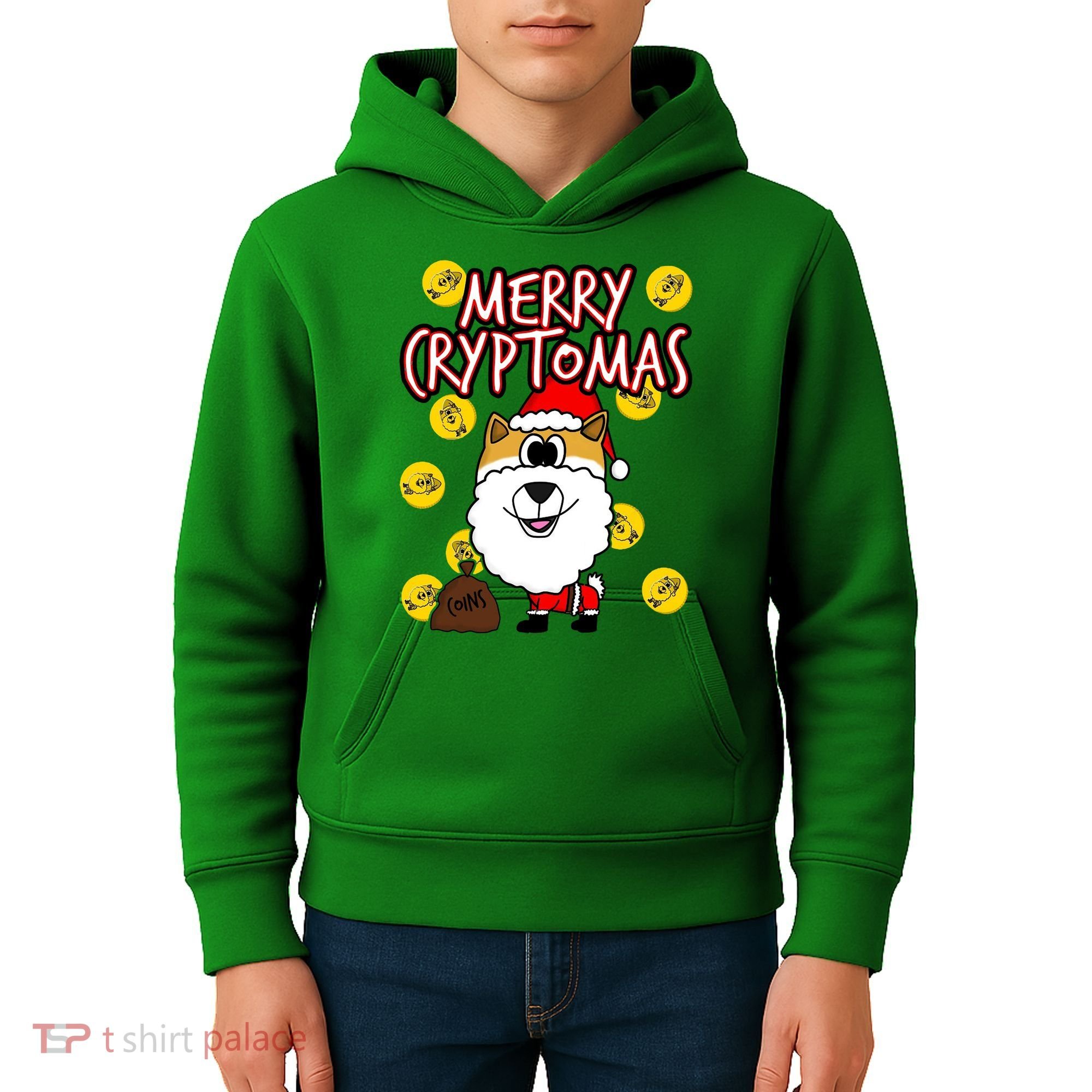 Merry Cryptomas Kids Hoodie