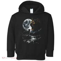 Mystical Cat Moonlight Waterfall Scene Toddler Hoodie thumb 0